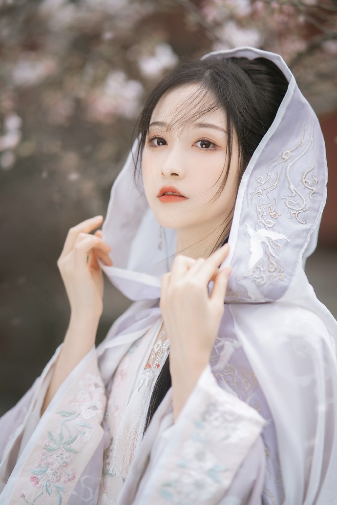 走向共和 封面